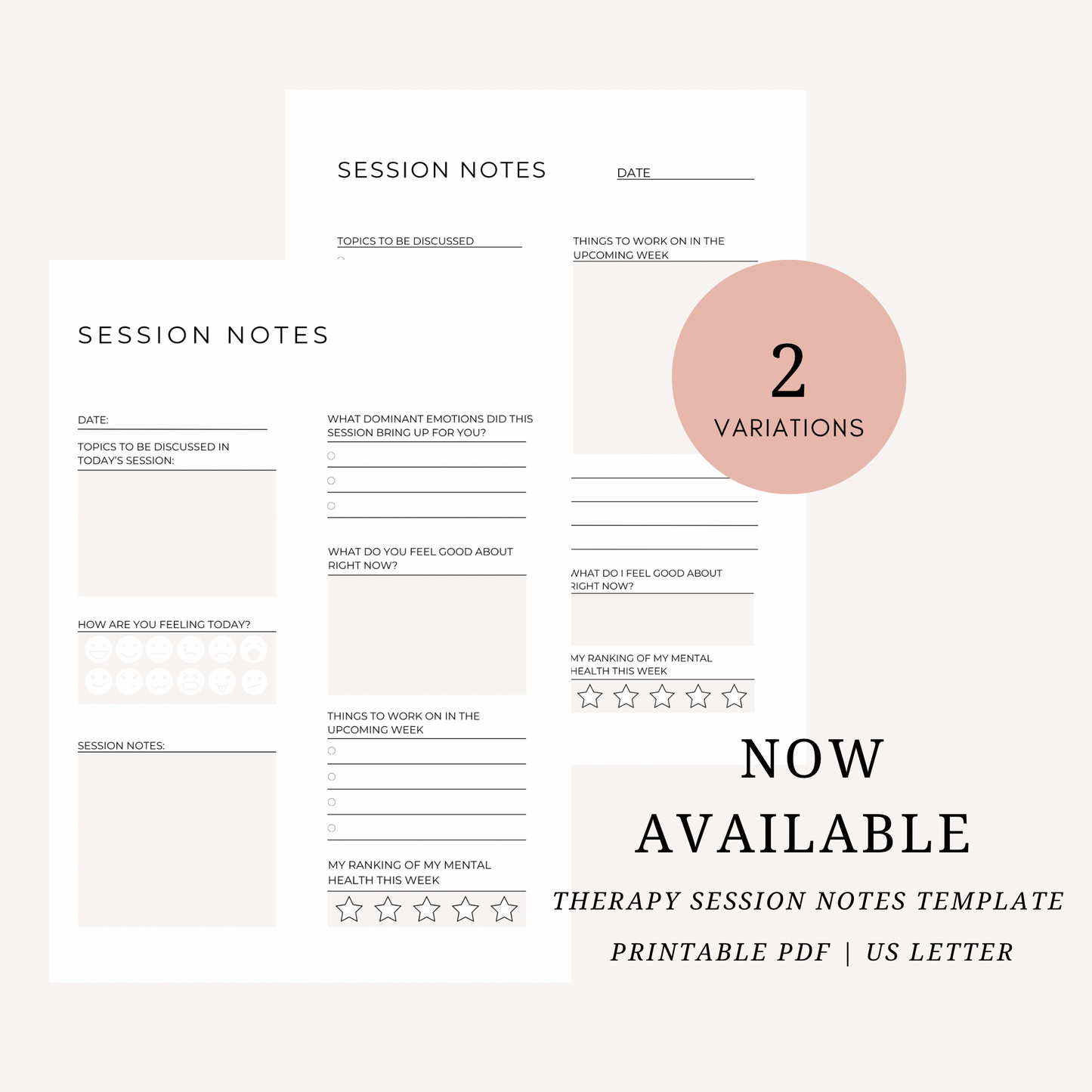 Therapy Session Notes Template | Printable | Therapy Session Log Template